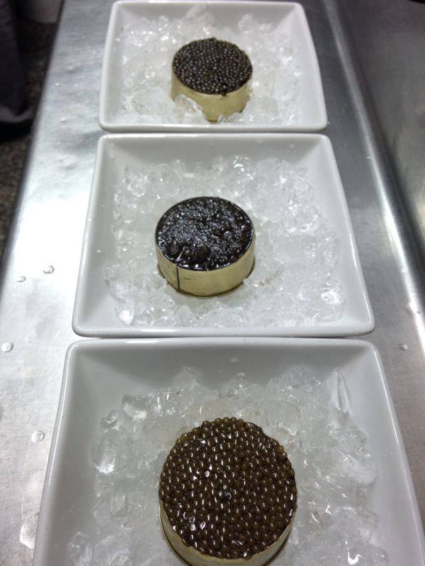 Variedades de caviar